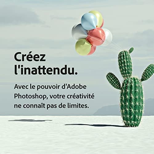 Adobe Creative Cloud All Apps | 1 an | PC/Mac | Téléchargement E-mail en 2H Max