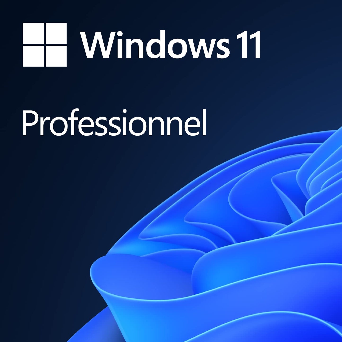 Microsoft Windows 11 Famille/ Professionnel (Téléchargement numérique)