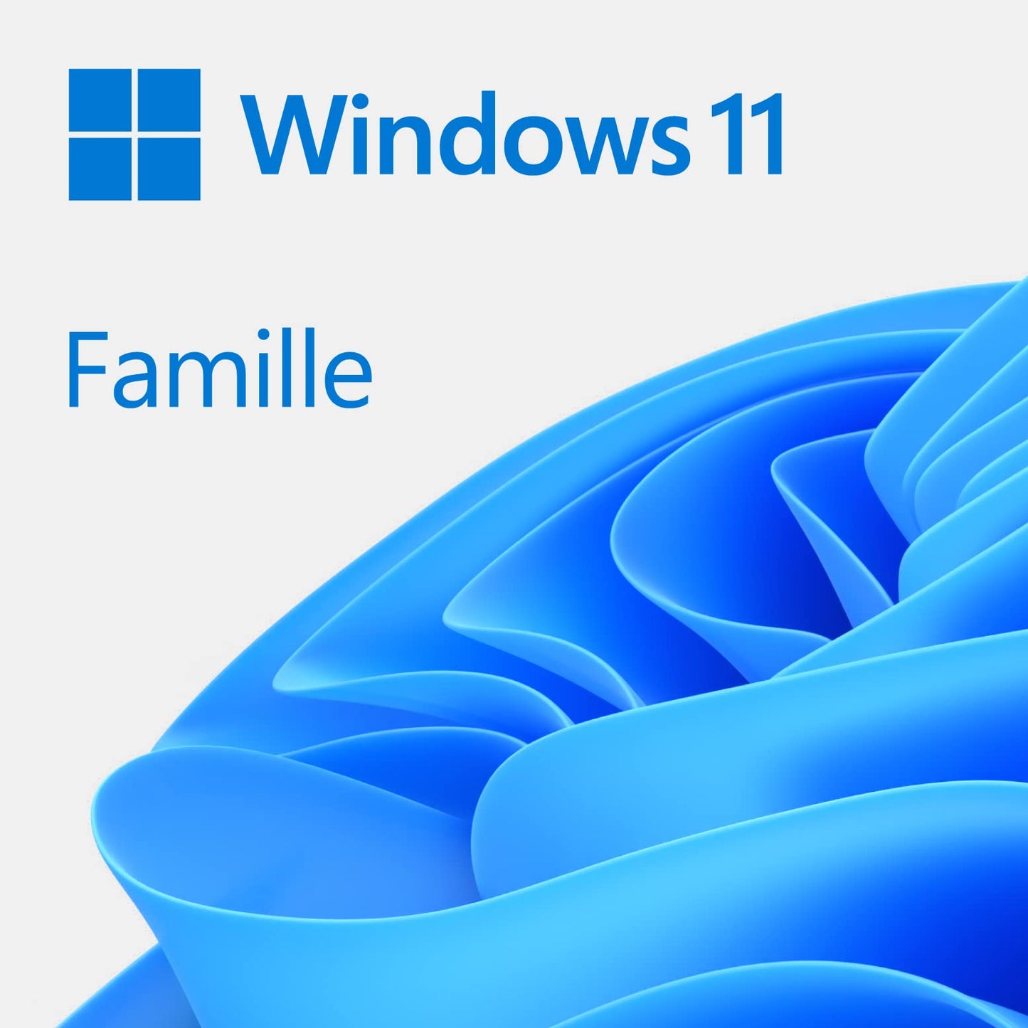 Microsoft Windows 11 Famille/ Professionnel (Téléchargement numérique)
