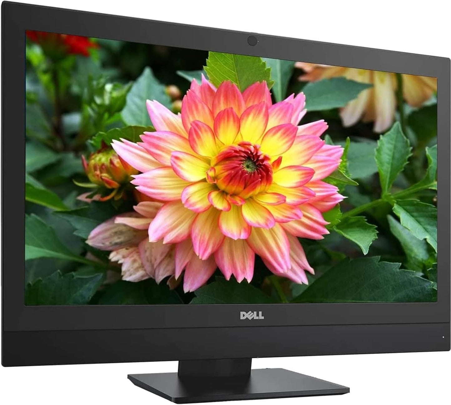 Computadora de escritorio todo en uno Dell OptiPlex 3050, placa de 20", procesador Core i5-7400T, 8 GB de RAM, SSD NVMe de 256 GB, cámara web, Win 10 Pro (renovado)