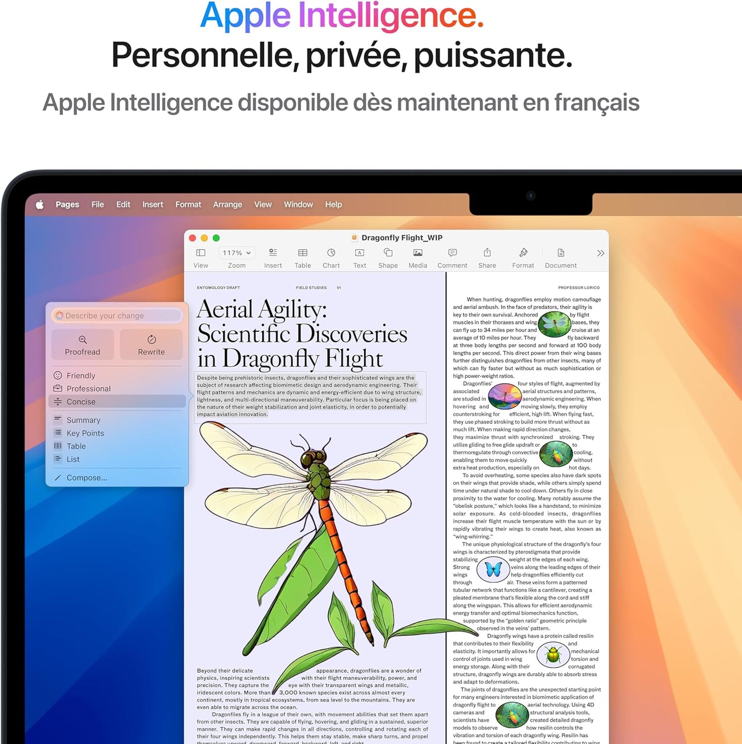 Apple MacBook Air 13" Argent – Puce M4, 16 Go RAM, SSD, MacOS – Ultraportable Haute Performance - MacBook | DR CLICK Informatique