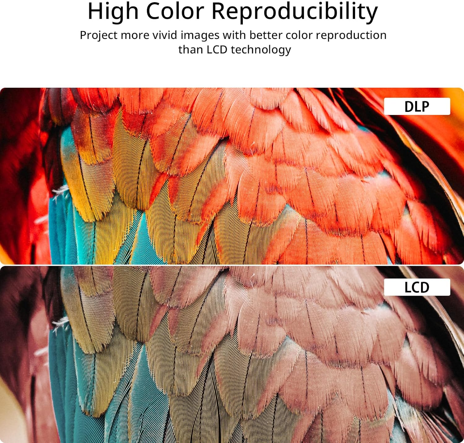 Mini projecteur YOTON Y200 – Compact, silencieux et performant - Visioconférence | DR CLICK Informatique