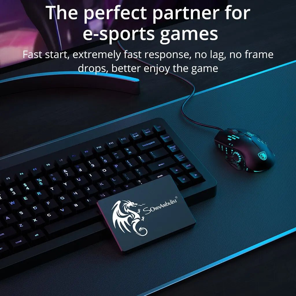 SomnAmbulist SSD 256 Go 2.5 - Disque dur & SSD | DR CLICK Informatique